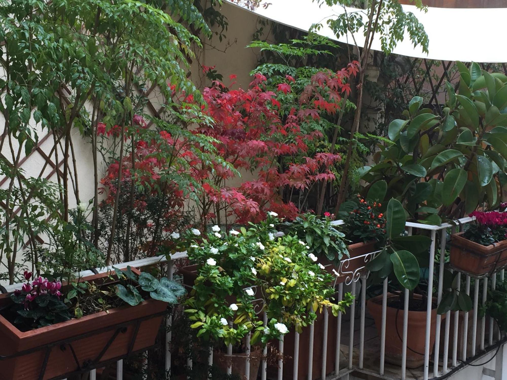 Relais Teatro Argentina Bed & Breakfast Roma Exterior foto